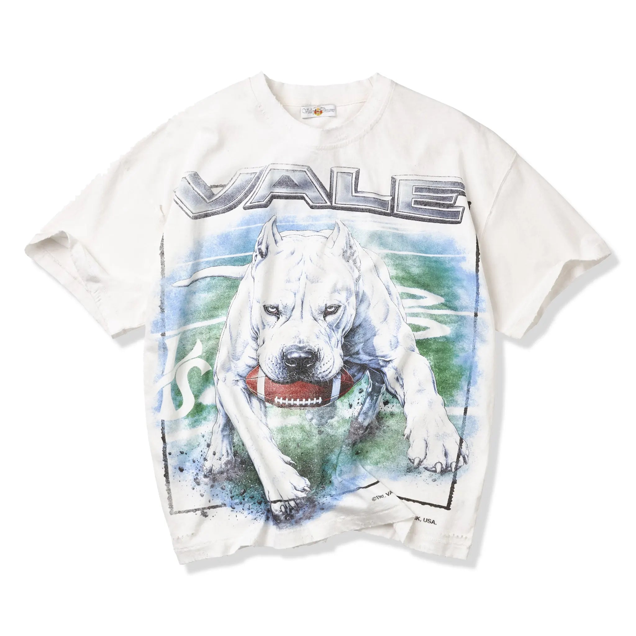 Front View of Vale Forever Cane T-Shirt
